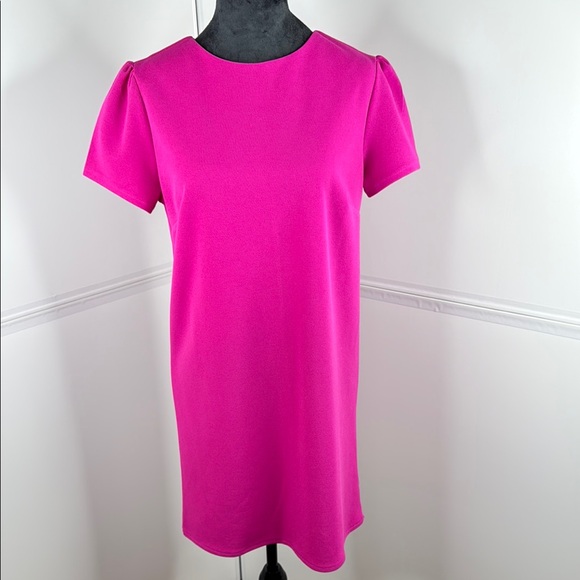 She + Sky Dresses & Skirts - She + Sky Hot Pink Short Sleeve Shift Dress